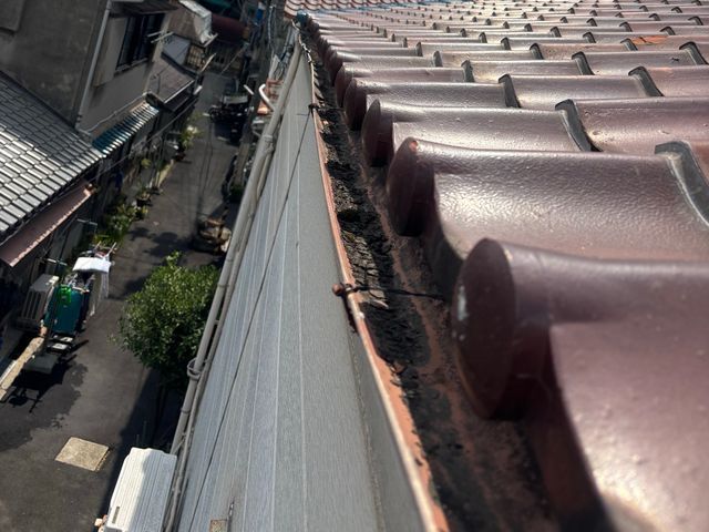 雨樋の清掃・修理